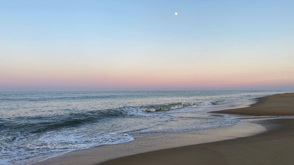 Northeast Virginia Beach House | Sea La Vie - steps to the beach without a crowd