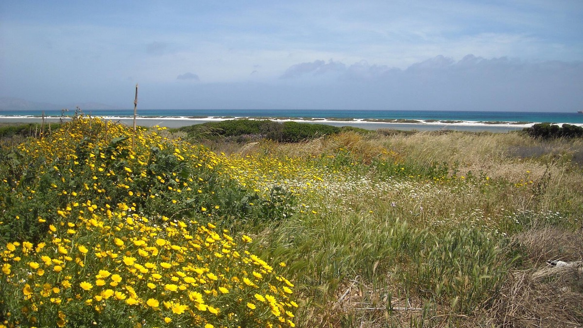 Stintino House | Sea, Nature and Relax: holiday home in Stintino - Sardinia