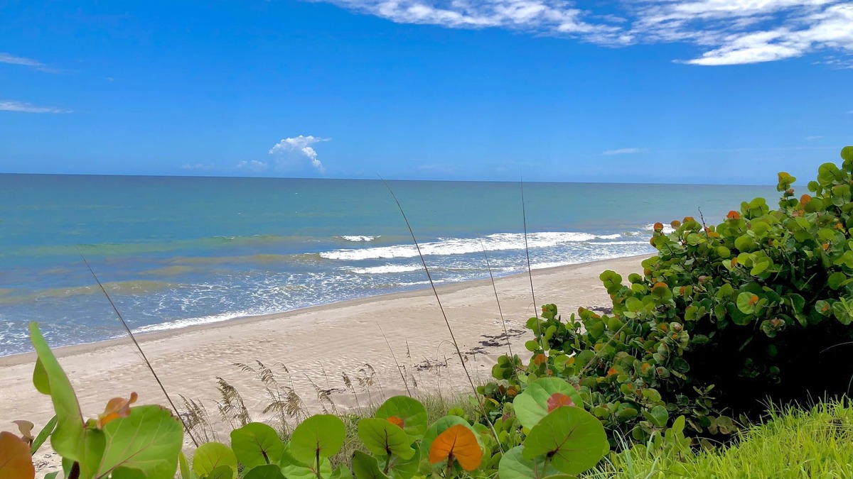 New Melbourne Beach Cottage | Sea Owl Suite 3, Oceanfront style and Serenity in Melbourne Beach!