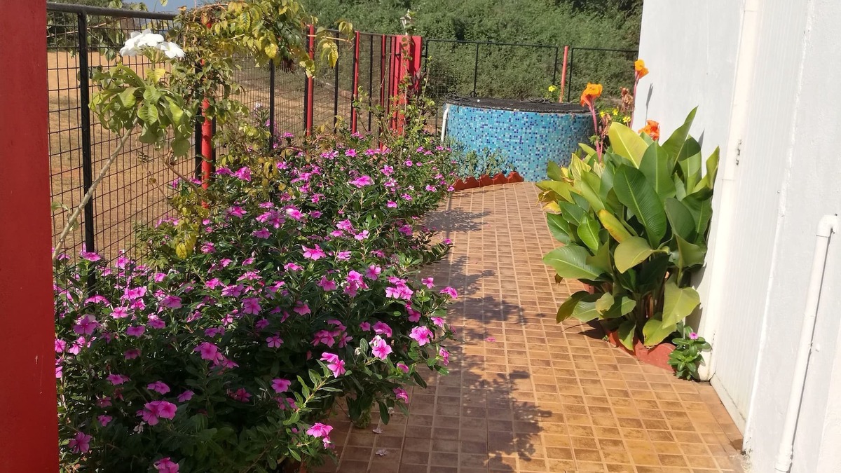 Candolim House | Sea Pearl Guest house