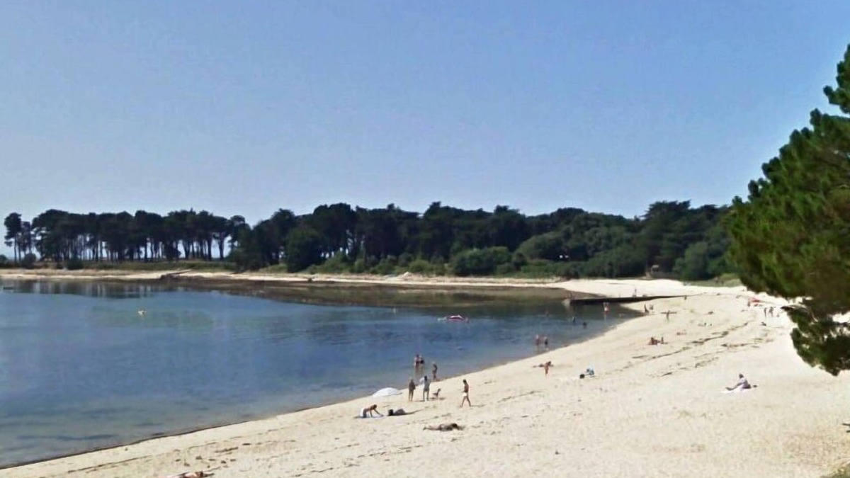 Saint-Philibert Apartment | Sea view and direct access to the beach - St Philibert