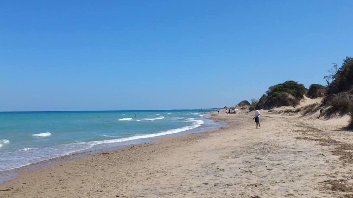 Torre San Gennaro Villa | SEA VIEW FARMHOUSE WITH PARK ANTONIETTA 1960 FREE BEACH ACCESS 10 M