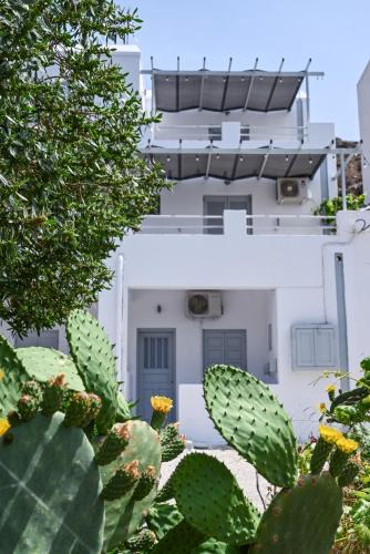 Kithnos Apartment | Sea view Lefkes