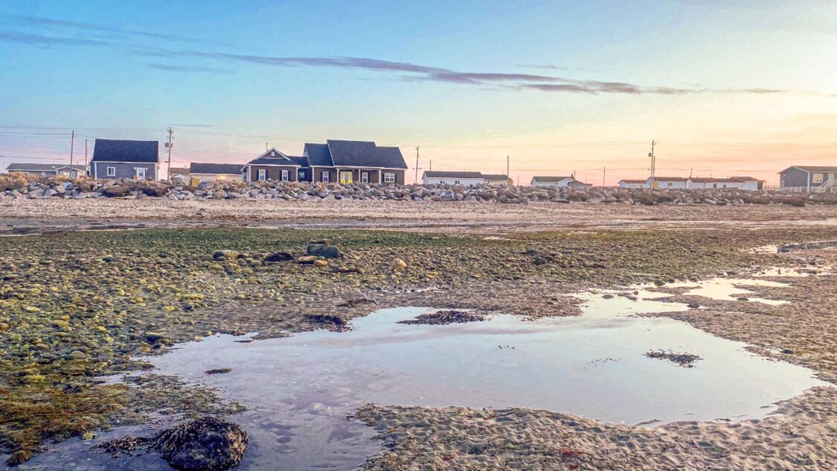 Cow Head Bed & Breakfast | Seabreeze Oceanfront Retreat: Cozy Rooms, Local Charm & Stunning Views
