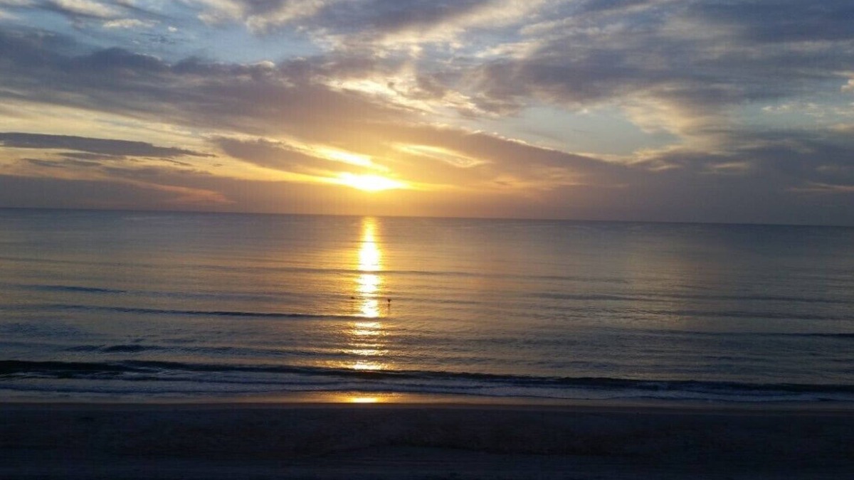 New Smyrna Beach Villa | "SEACLUSION" Private Family & Pet Friendly BEACH Villa! Pools/Trails/Pickleball!