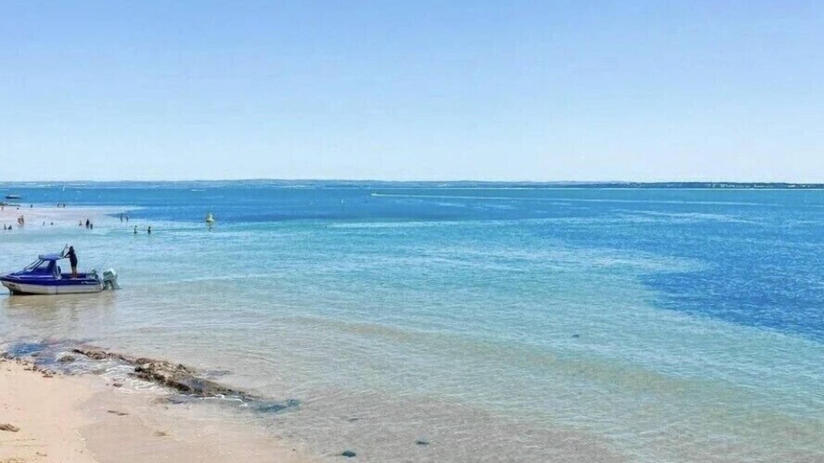 Seaford Apartment | Seaford- Seabreeze; 2 bed - sleep 4.Beautiful beach front apartment.WiFi,netflix