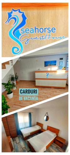 Navodari House | SeaHorse GuestHouse