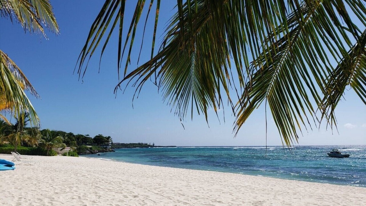 Savannah Condo | Seaing Spotts: Secluded Beachfront Suite Grand Cayman Caribbean Blue water!