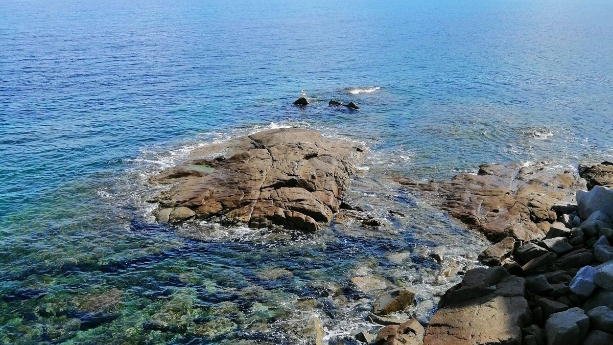 Algajola Apartment | Seaside 30m, Beach 100m, Algajola, T2 Superb sea view from apartment