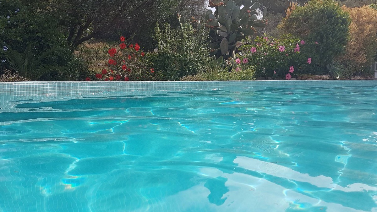 Cala Murada Apartment | SEASIDE apartment in a large house with salt water pool