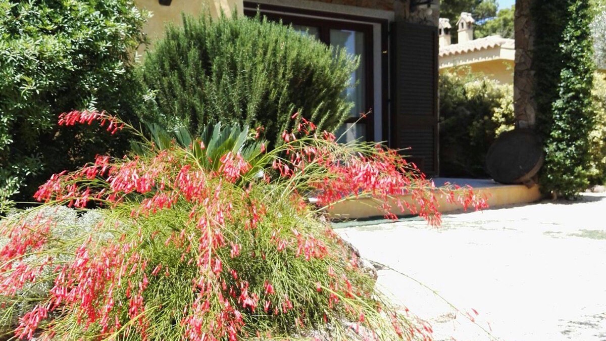 Porto Pino Villa | Seaside villa equipped with every comfort