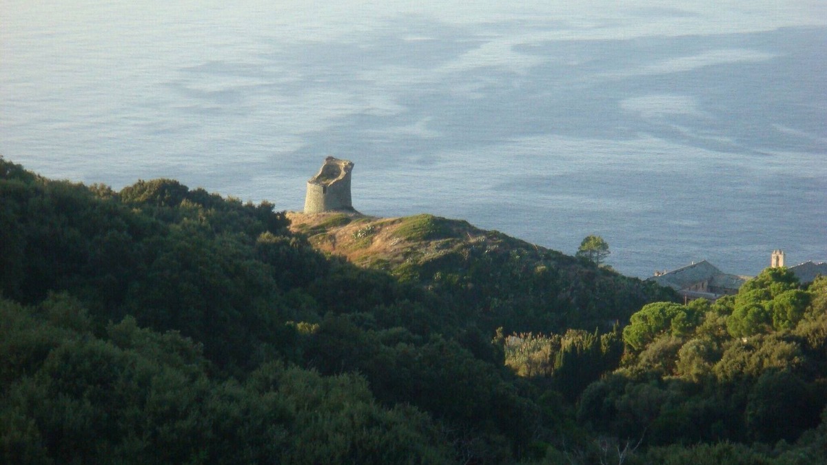 Pino Apartment | SEASONAL APARTMENT RENTAL IN PINO CAP CORSE FOR 3 PEOPLE.