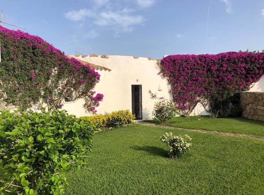 Porto Cervo Apartment | Seaview Apartment in Porto Cervo