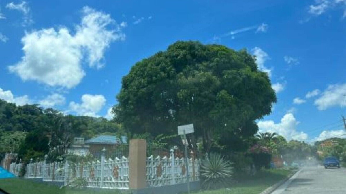 Boscobel House | Seaview Villa, St Mary