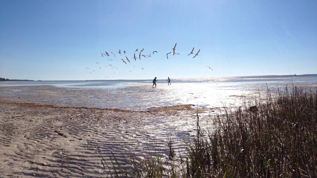 Port St. Joe Cottage | Seay Shack- A true, shabby chic, Old Florida Cottage!