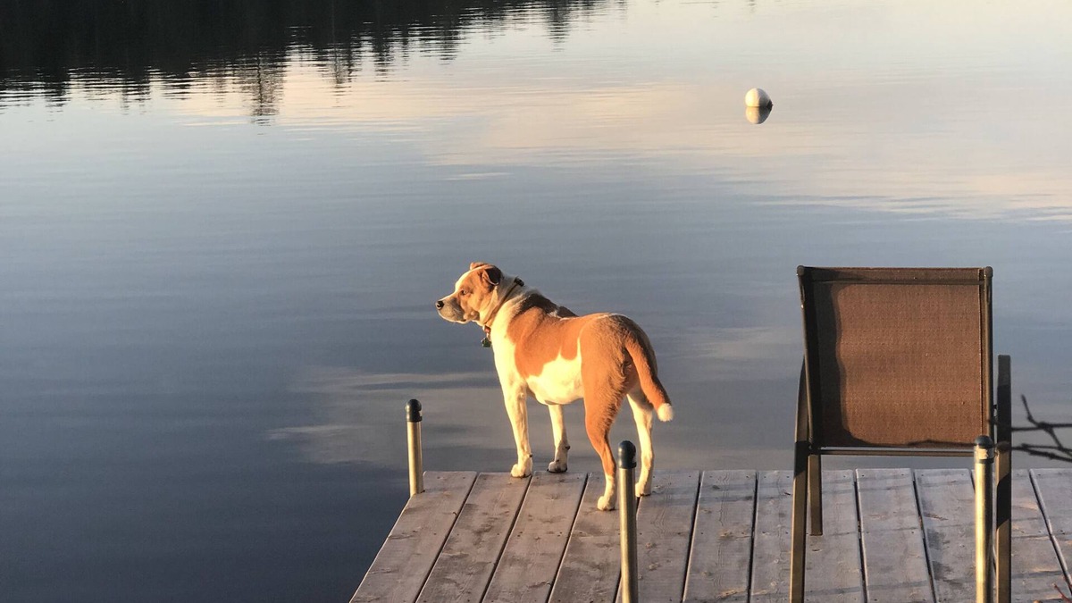 Liberty Cabin | Secluded 1-bedroom cabin in Liberty with pond frontage