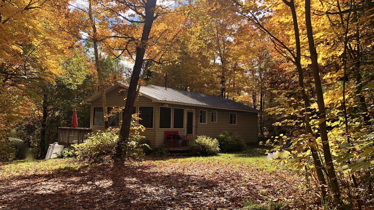 Armour House | Secluded 10 Acre Cottage with Canoes, Kayaks and Fun!