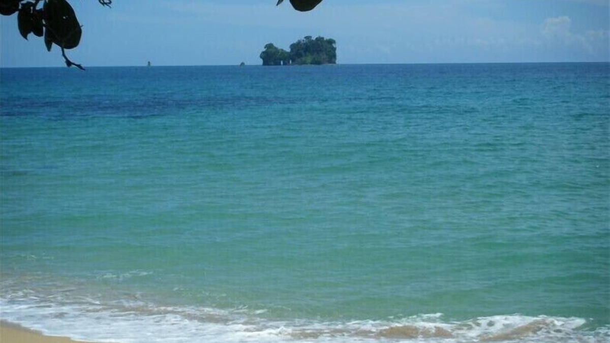 Bocas del Toro Cabin | Secluded, Beautiful Cabin in Paradise- Relax, Retreat, Revive