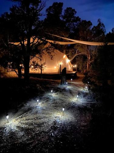 Duchesne Other | Secluded Bell Tent Nestled in the Pines in Duchesne, Utah