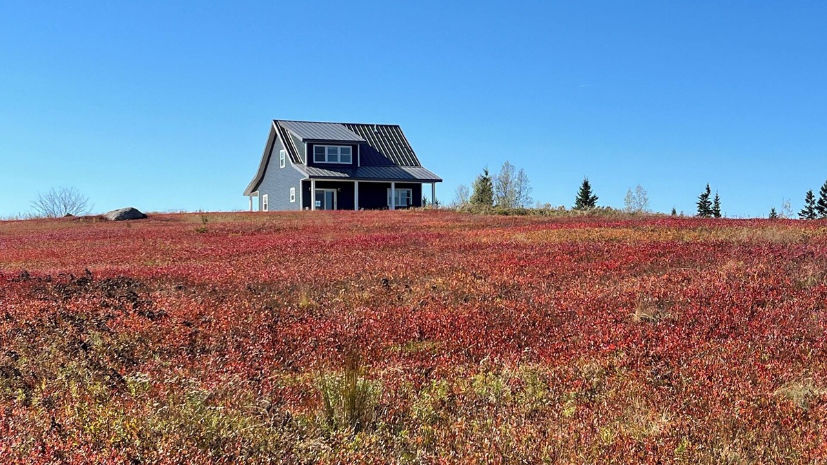 Cherryfield House | Secluded blueberry field retreat with sweeping 360 views.