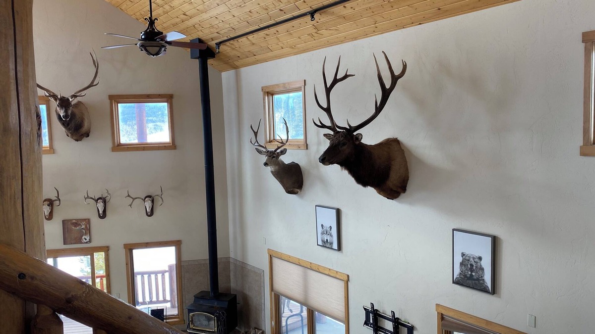Heeney Cabin | Secluded Cabin above Cataract Lake and Green Mountain Reservoir