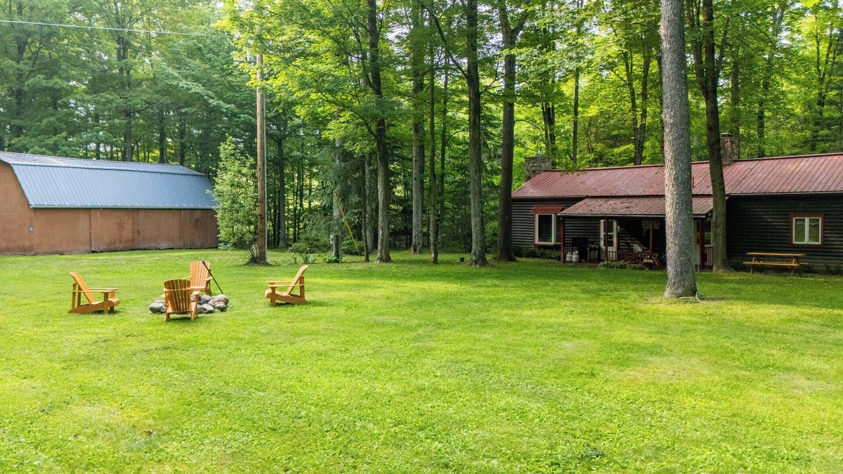 Avoca Cabin | Secluded cabin on creek-Hiking, Fire Pit, Large Yard, Pet Friendly!