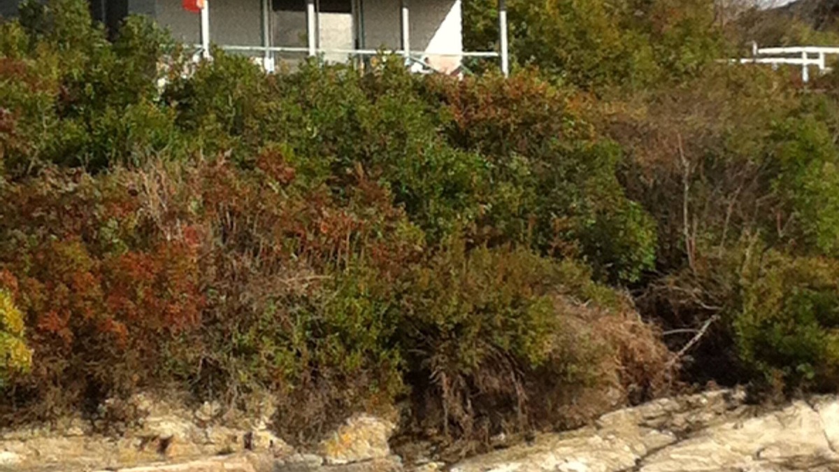 Mid-Coast and Islands Cabin | Secluded Casco Bay Waterfront Cabin