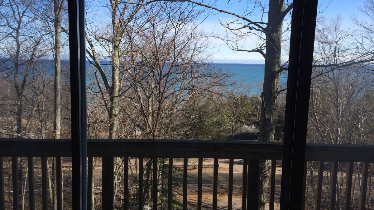 Harbor Springs Cottage | Secluded Cottage On Tunnel Of Trees w/Private Lake Michigan Beach Access