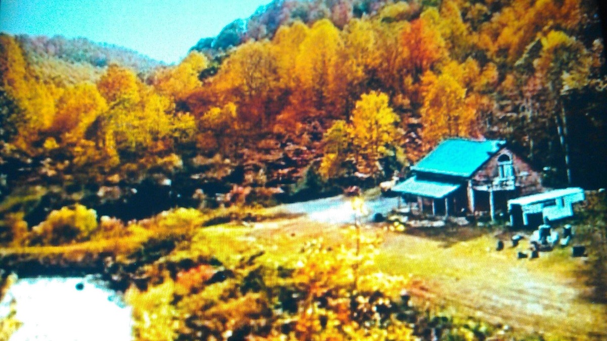 Layland Cabin | Secluded Cozy Luxurious Cabin, Gourmet Kitchen On 100 Acres W/Miles Of Trails