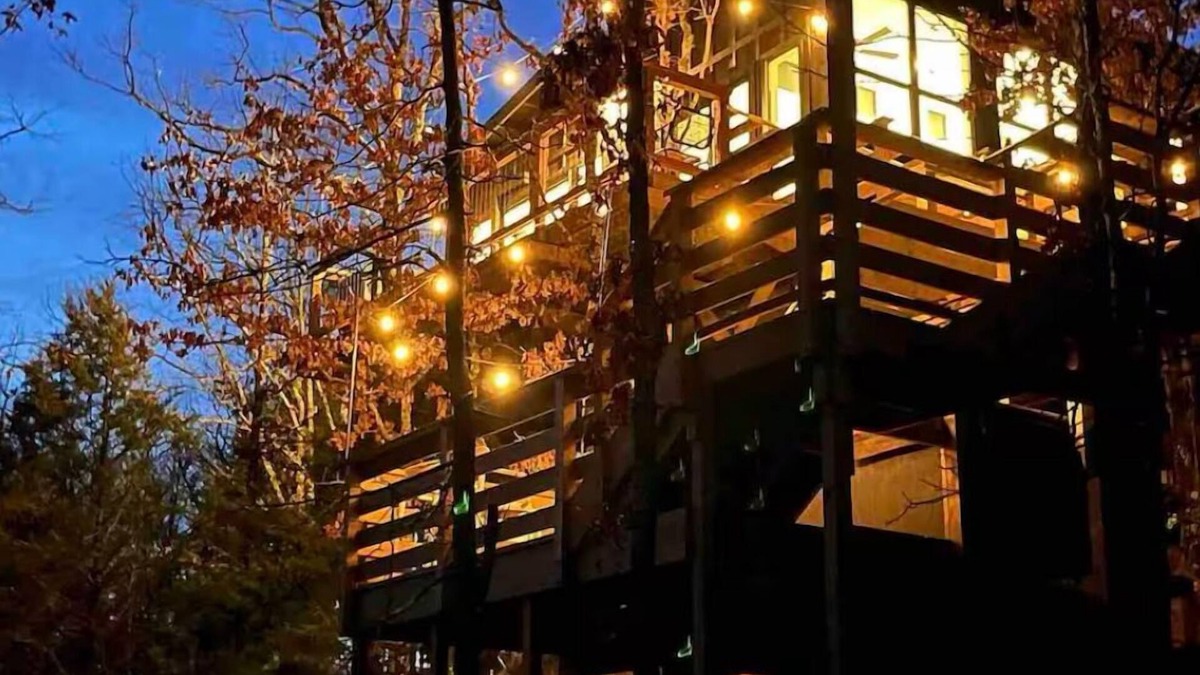 Conway Cabin | Secluded Dragonfly Treehouse - Private Hot Tub, Outdoor Movie Screen and More!