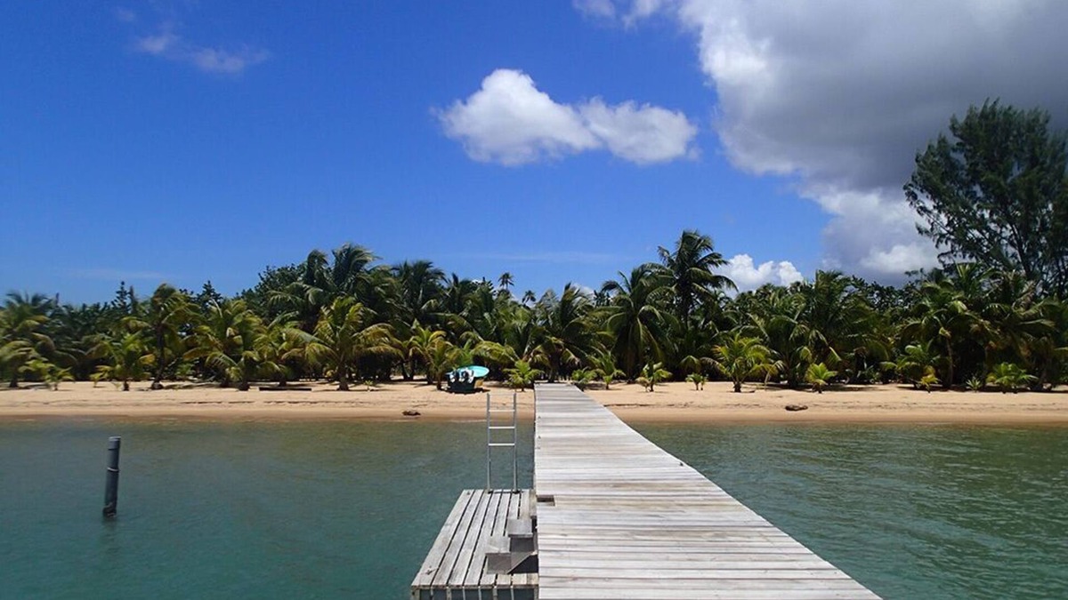 Forest Home Cottage | Secluded eco-friendly beach cabana