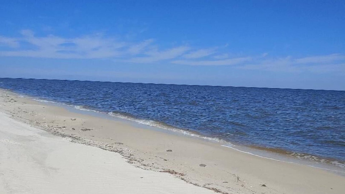Alligator Point House | Secluded Florida Beach Bungalow FALL SPECIAL 20% OFF!