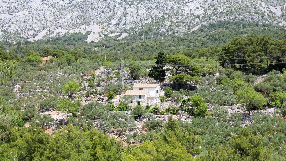 Zivogosce House | Secluded holiday house Živogošće - Mala Duba, Makarska (K-19811)