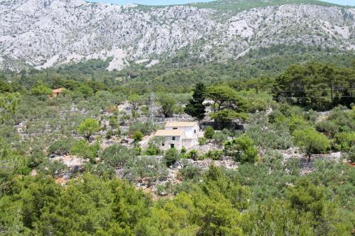 Zivogosce House | Secluded holiday house Zivogosce - Mala Duba, Makarska - 19811