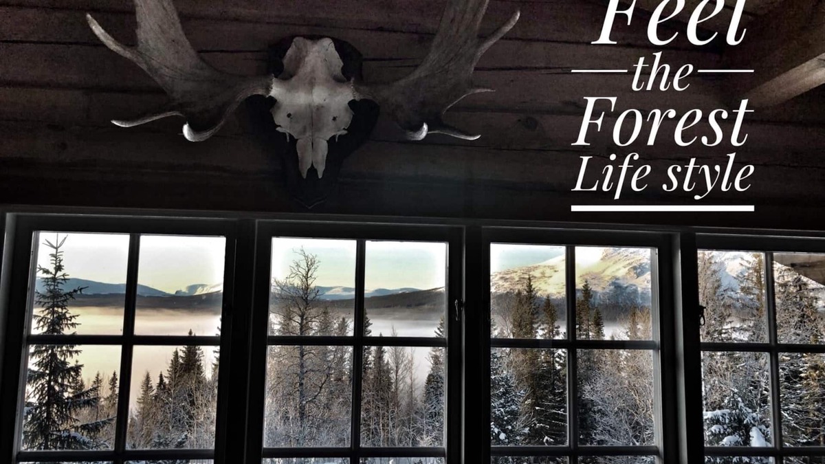 Undersaker Ski Chalet | Secluded lodge overlooking the sea and mountain