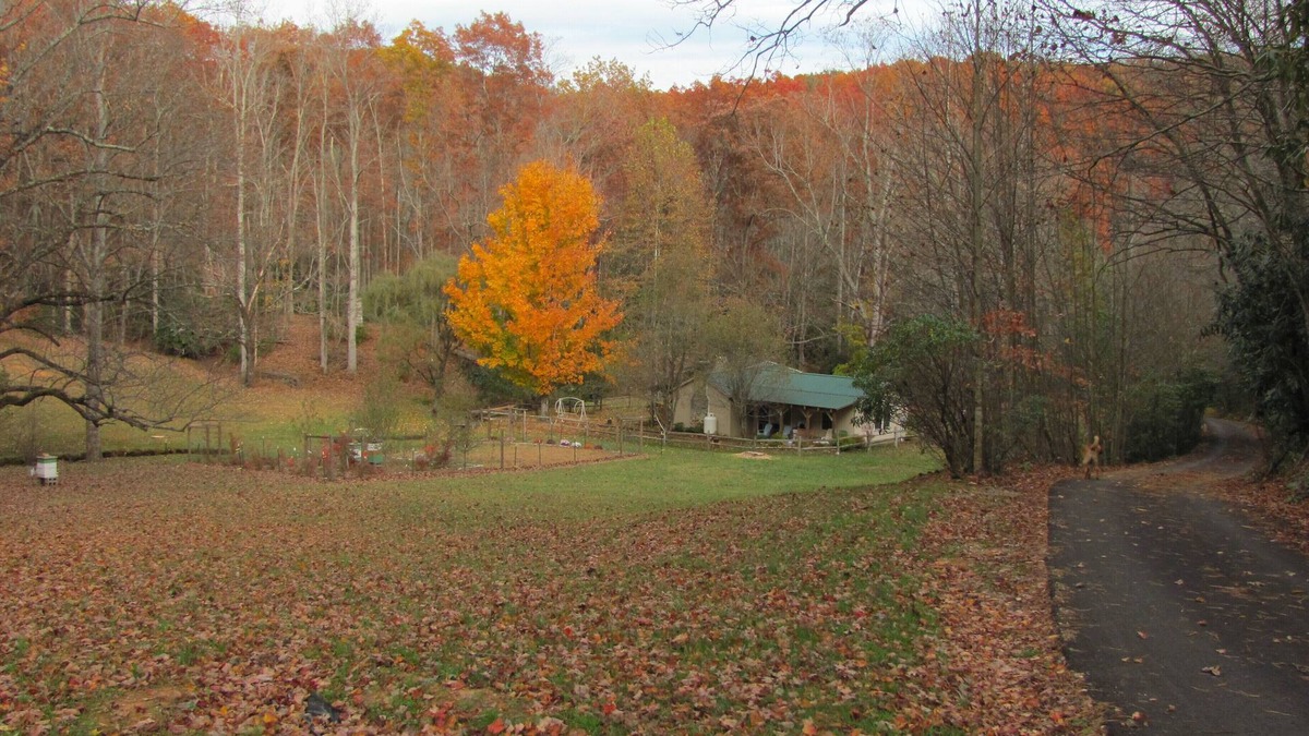 Vesta Cottage | Secluded One Bedroom Cottage In Scenic Patrick County, VA