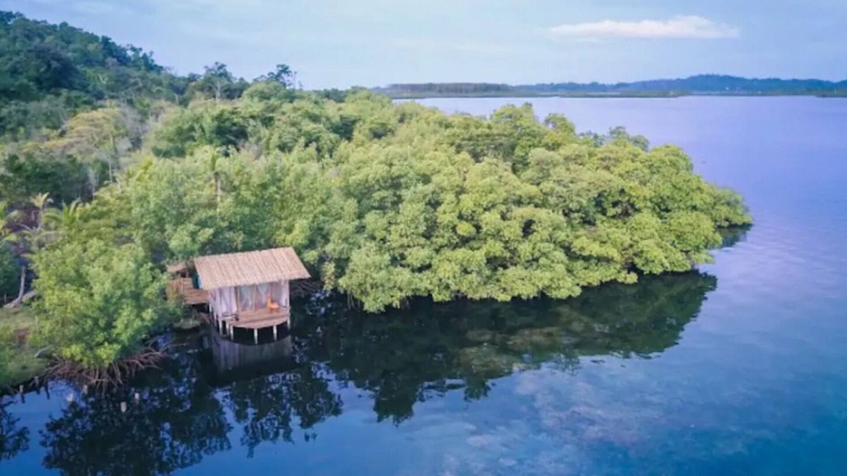 Tierra Oscura Cabin | Secluded Coconut Cabin, bioluminescence and coral!