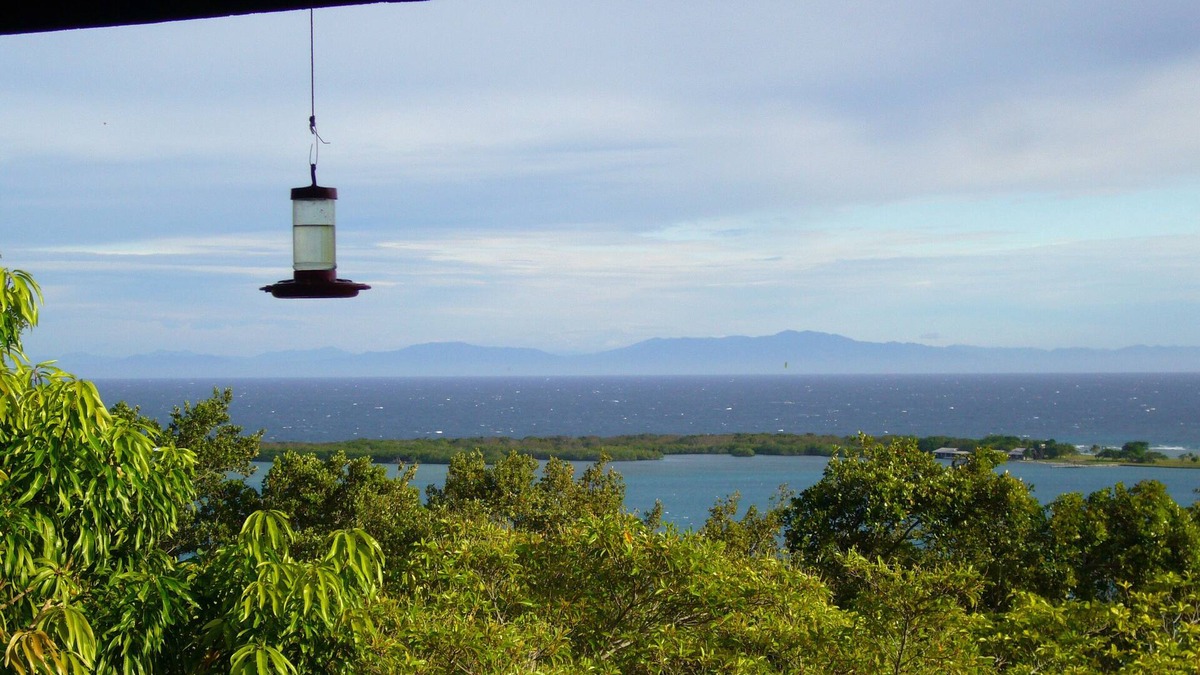 Port Royal House | Secluded Paradise In Port Royal Overlooking The Caribbean's Most Beautiful Bay.