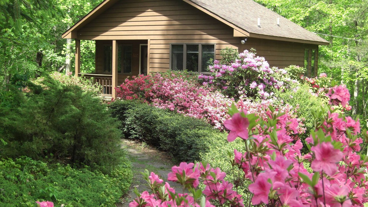 Dyke Cabin | Secluded, Romantic Mountain Cabin for 2, fully equipped