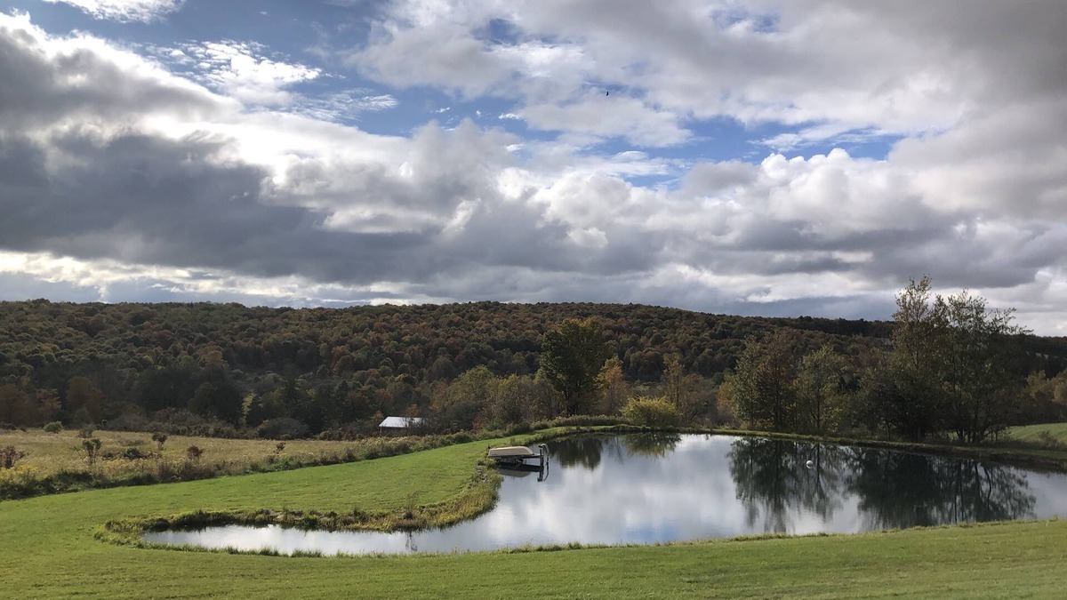 Delhi Apartment | Secluded studio with lake view & fire pit for upstate getaway. Near Cooperstown