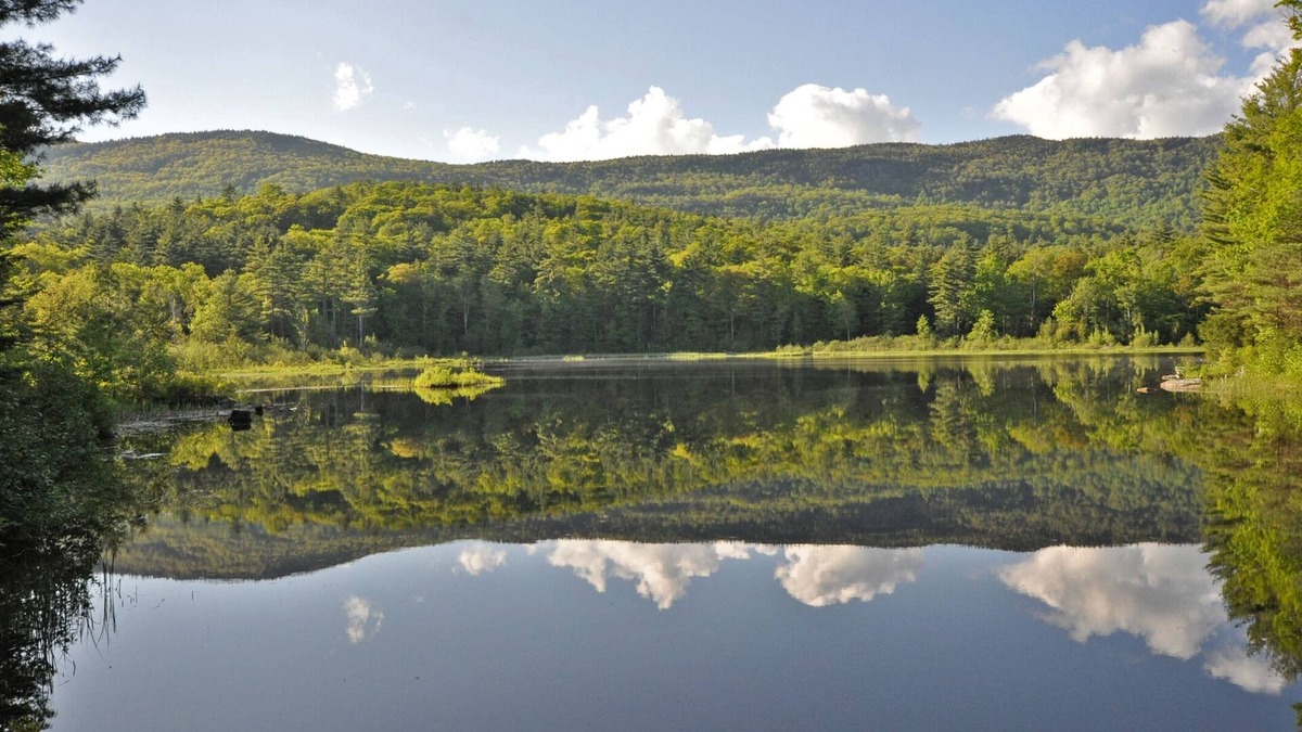 Holderness Ski Chalet | Secluded Waterfront Chalet