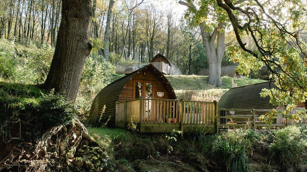 Wing Cabin | Secluded Woodland Cabin in North Cumbria