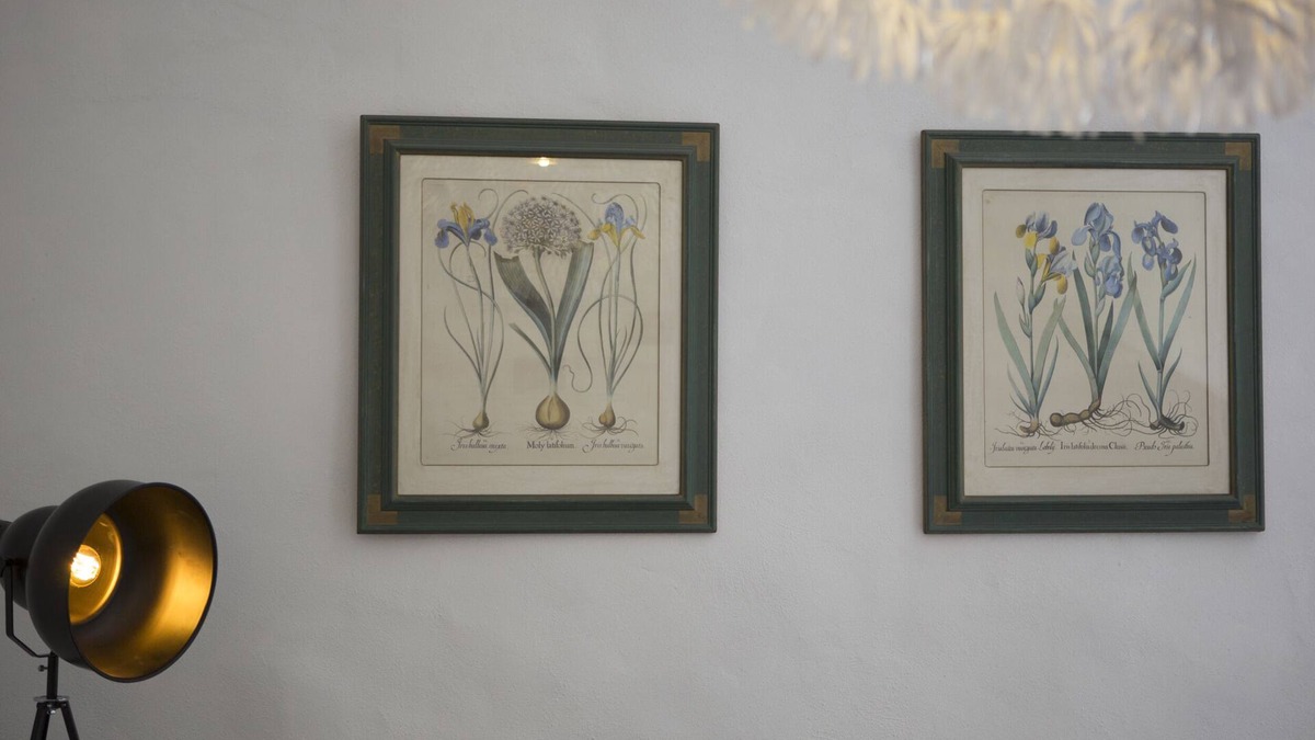 Ferrals-les-Corbieres Cottage | Secret Garden Cottage