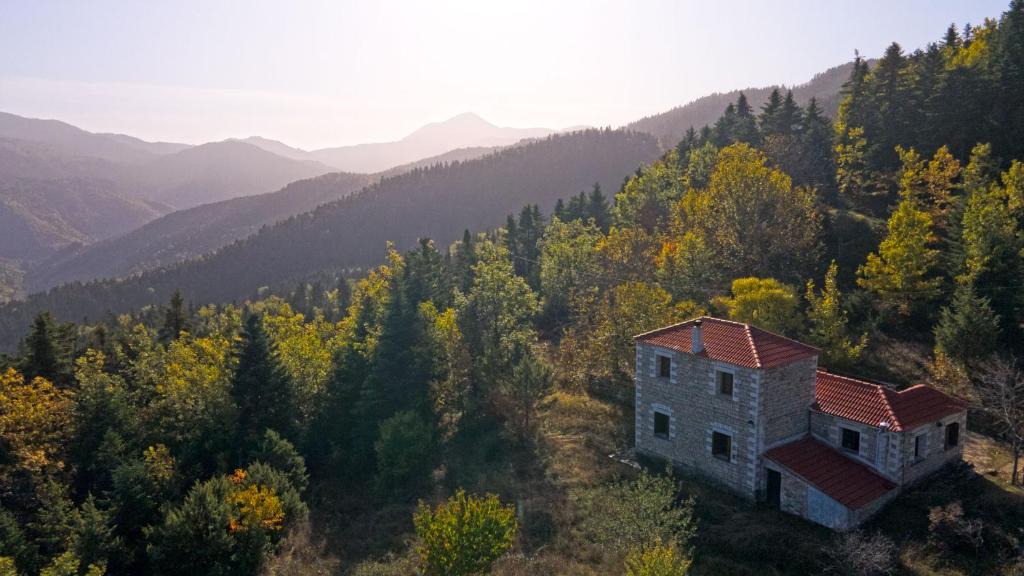 Terpsithea Ski Chalet | Secret Mountain Cabin "Θεοδόξαρο"