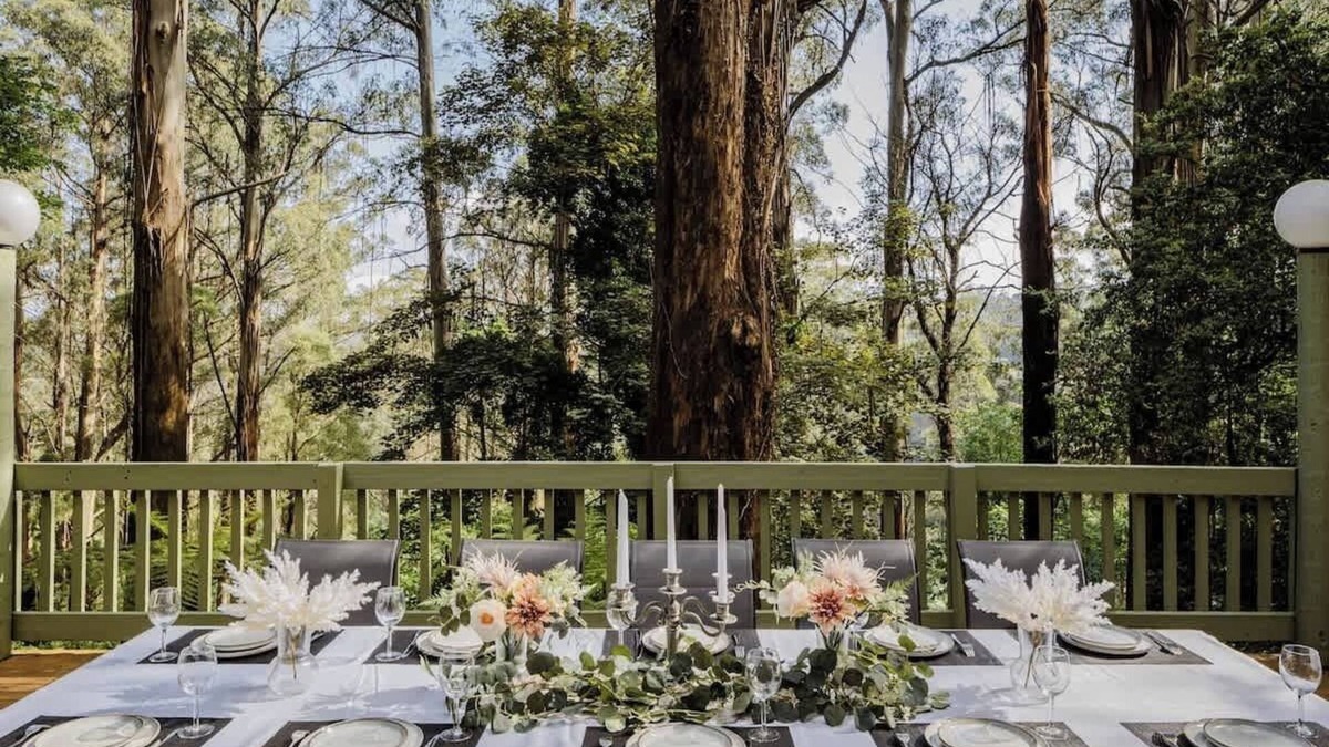 Sassafras Cabin | Seednest Treehouse | Forest & Mountain View