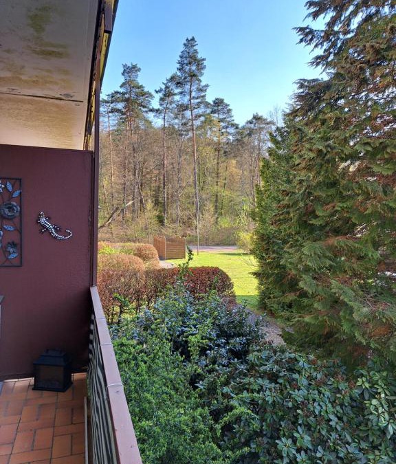 Ludwigswinkel Apartment | Seen- und Felsenland
