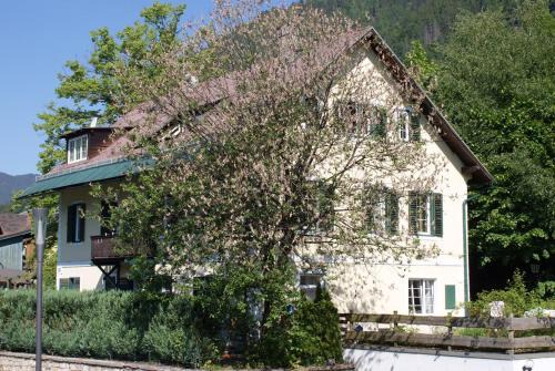 Annenheim Apartment | Seevilla Annenheim