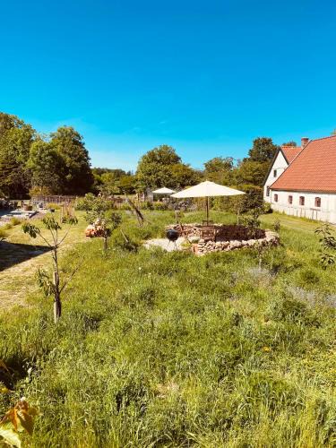 Odder Apartment | Sejersminde Bed and Breakfast