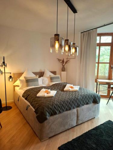 Hillstett Apartment | Select-Home 5 - Entspannen & Wohlfühlen am Stausee