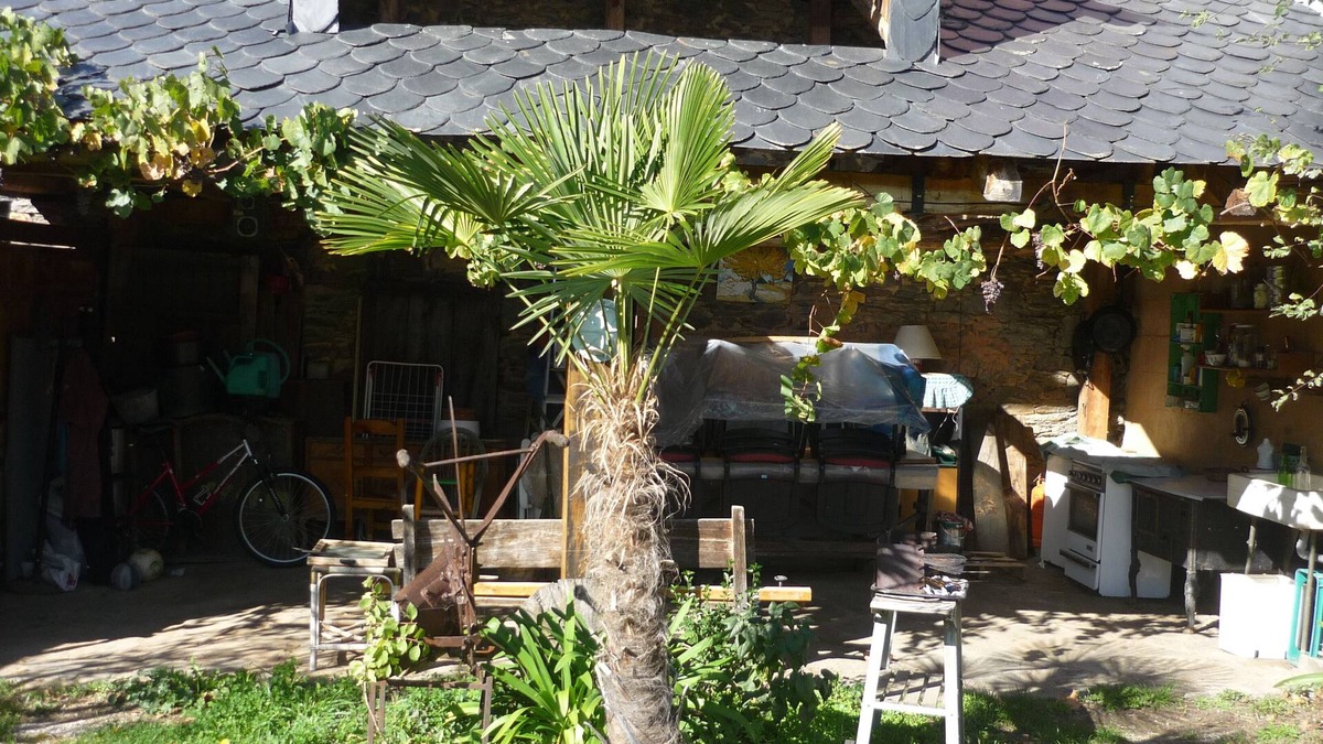 Toral de Merayo Cottage | Self catering cottage Las Tres Negrillas for 6 people
